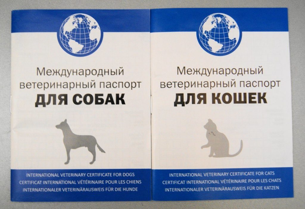 ветеринарный паспорт собака кошка
