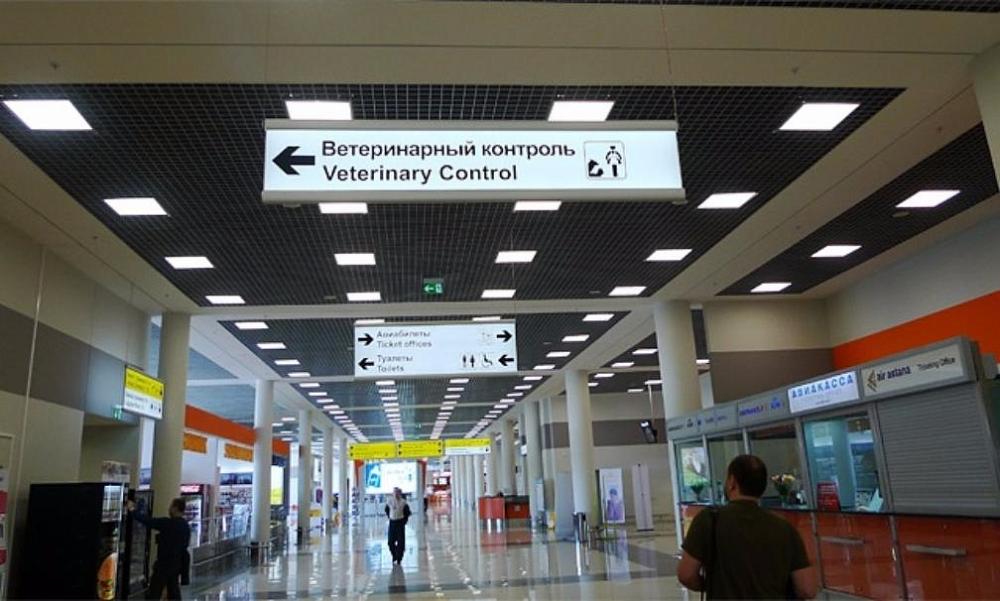 ветеринарный контроль аэропорт