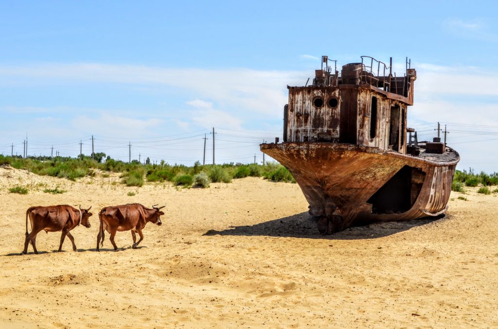 Аральское море высохло Узбекистан