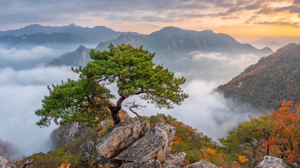 Самые красивые фото Кореи Пукхансан