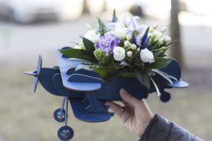 Цветы в самолете