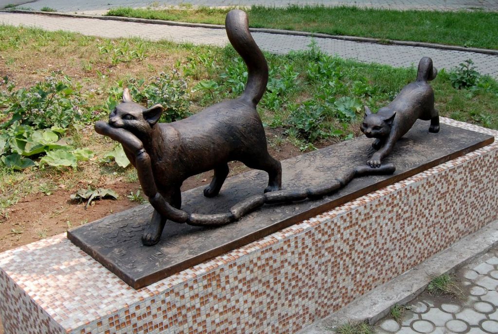 Коты, ворующие сосиски Абакан