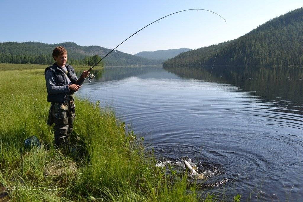 Рыбалка на Алтае купить тур