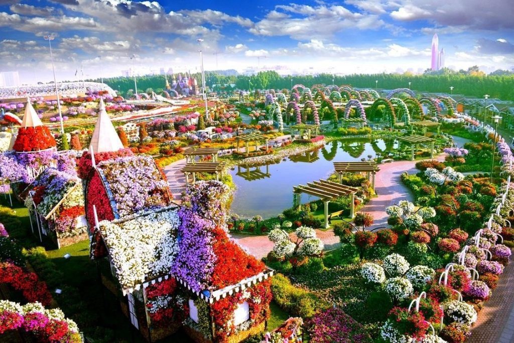 Сад цветов Miracle Garden в Дубае ОАЭ
