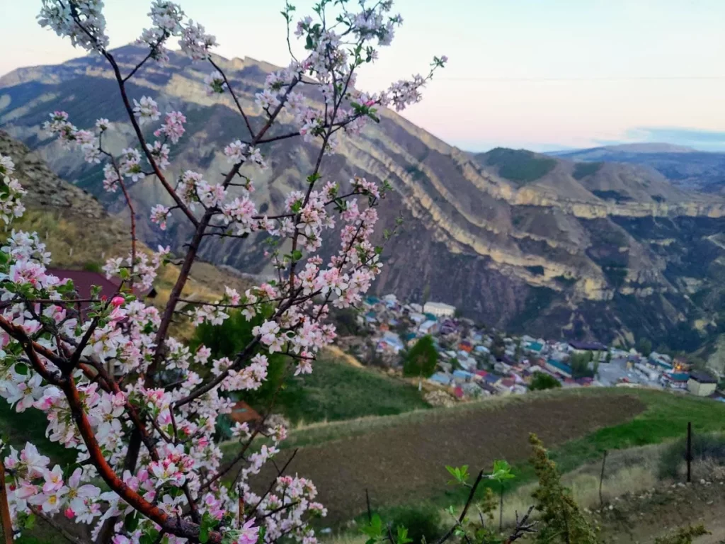 Аул Гуниб в Дагестане весна