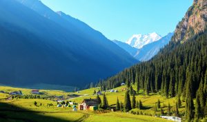 Киргизия авторские туры горы леса