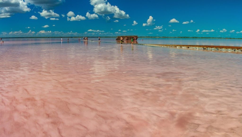 Озеро Бурлинское розовая вода
